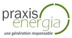 Gestion de moyens et gros projets en énergie renouvelable (notamment photovoltaïque, bois et biogaz), distribution d'électricité renouvelable certifiée